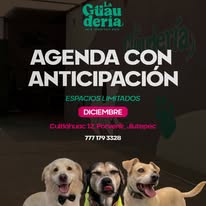 Promoción agenda con anticipación